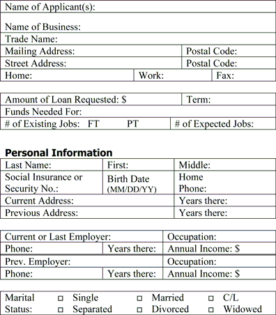 Business Plan Step 90: Sample Application Form